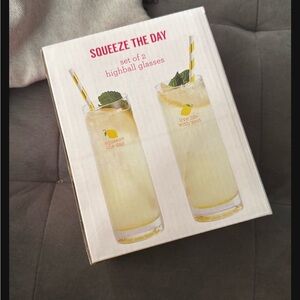 New In Box Set Of 2 Highball Glasses Lemon Theme